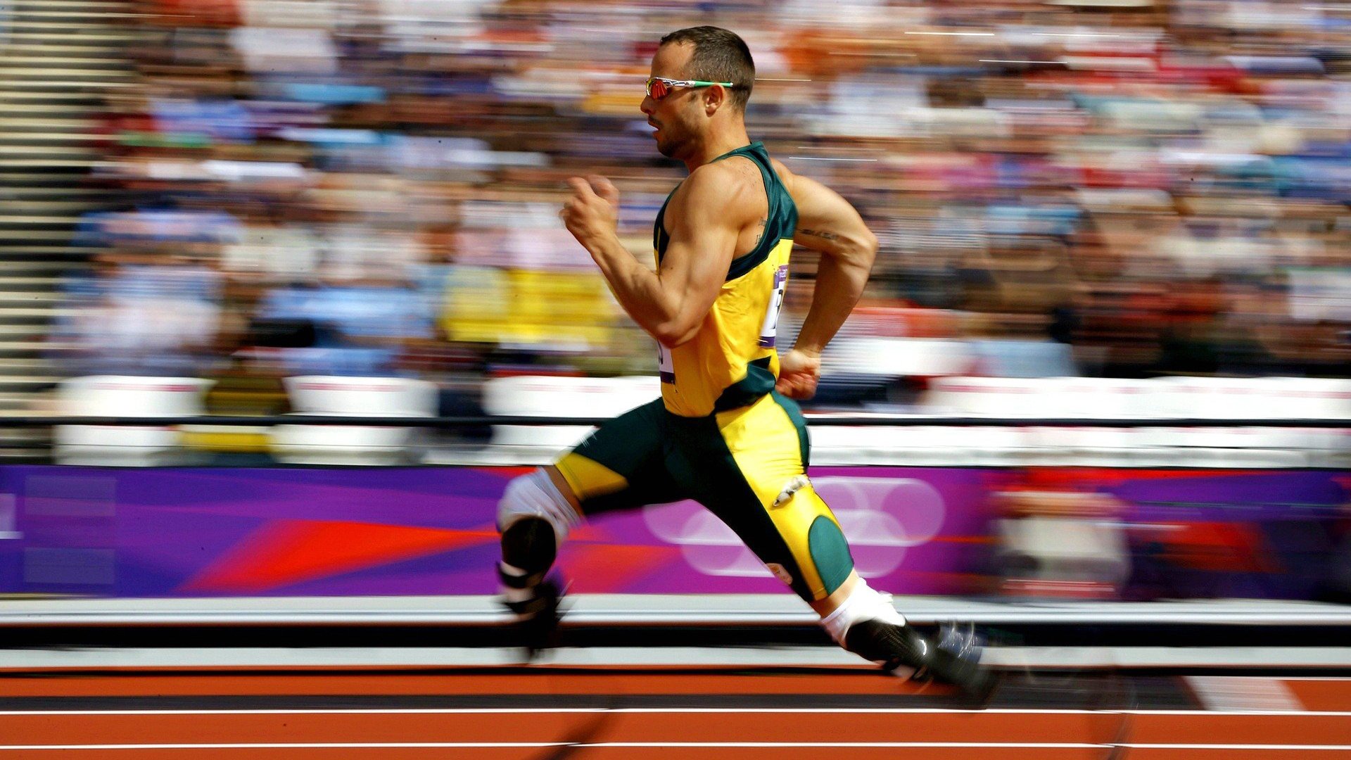 朱婷鼓励球迷现场为队伍加油,朱婷发文致谢